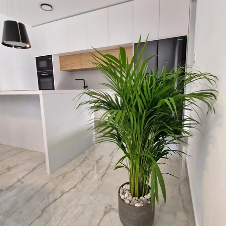 Apartamento - Luxury With Private Pool Medulin