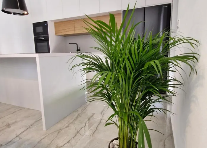 Appartement - Luxury With Private Pool Medulin